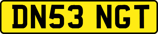 DN53NGT