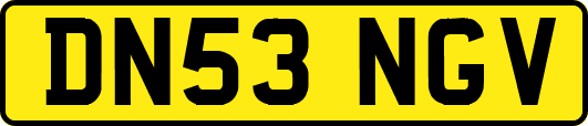 DN53NGV