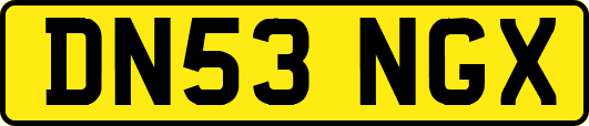 DN53NGX