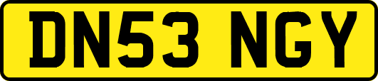 DN53NGY