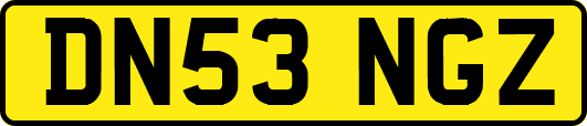 DN53NGZ
