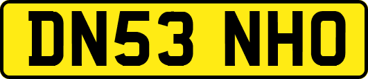 DN53NHO