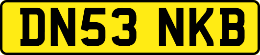 DN53NKB