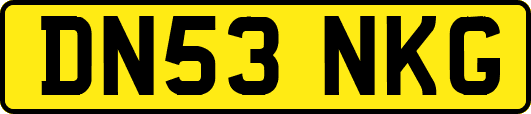 DN53NKG