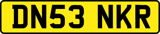 DN53NKR