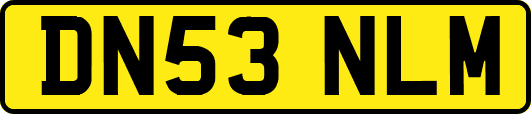 DN53NLM