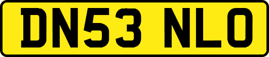 DN53NLO