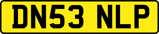 DN53NLP