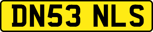DN53NLS