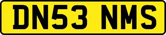 DN53NMS