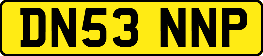DN53NNP