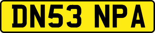 DN53NPA