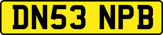 DN53NPB