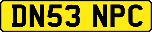 DN53NPC