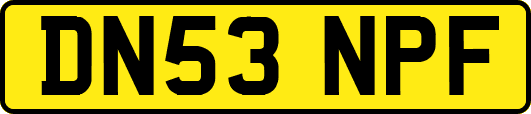 DN53NPF