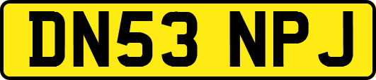DN53NPJ