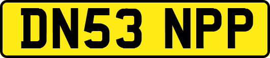 DN53NPP