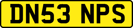 DN53NPS