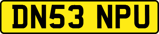 DN53NPU