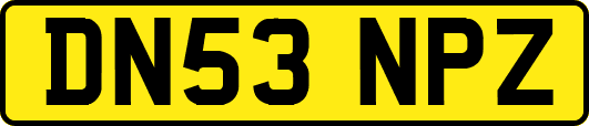 DN53NPZ