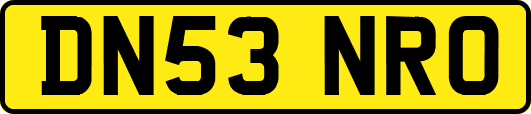 DN53NRO