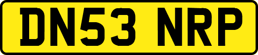 DN53NRP