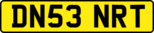 DN53NRT