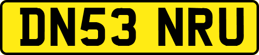DN53NRU