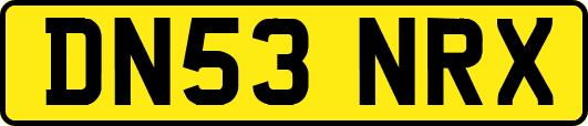 DN53NRX
