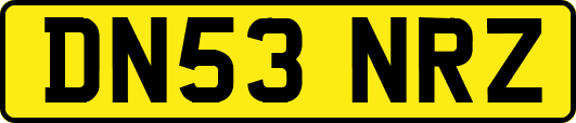 DN53NRZ