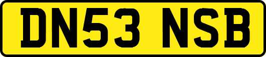 DN53NSB