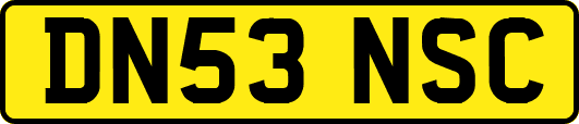 DN53NSC
