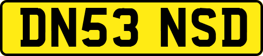 DN53NSD