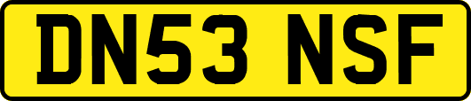 DN53NSF