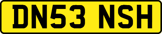 DN53NSH