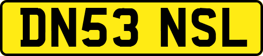DN53NSL