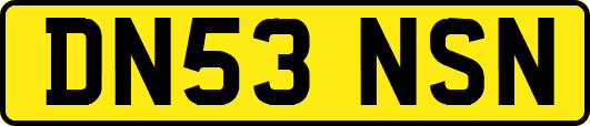 DN53NSN
