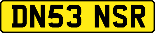 DN53NSR