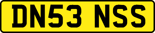 DN53NSS