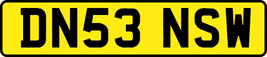 DN53NSW