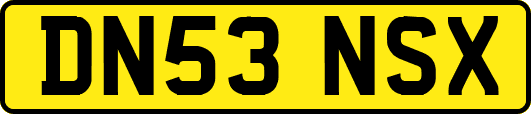 DN53NSX