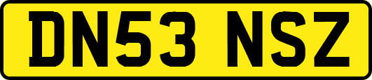 DN53NSZ
