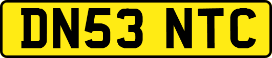 DN53NTC