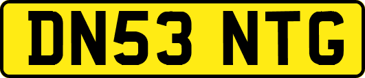 DN53NTG