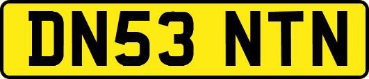DN53NTN