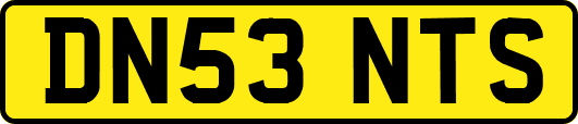DN53NTS