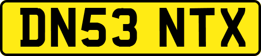 DN53NTX
