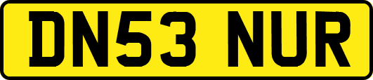 DN53NUR