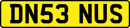 DN53NUS