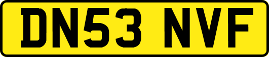 DN53NVF